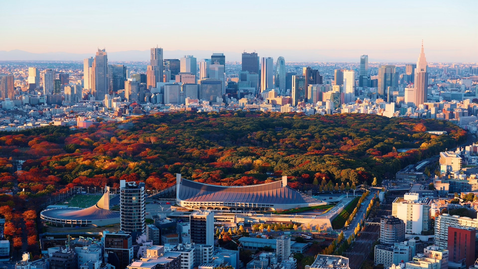 Aerial view of Tokyo showcasing vibrant autumn foliage contrasting with the modern skyline and world-renowned athletic stadium.