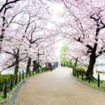 Ueno Park