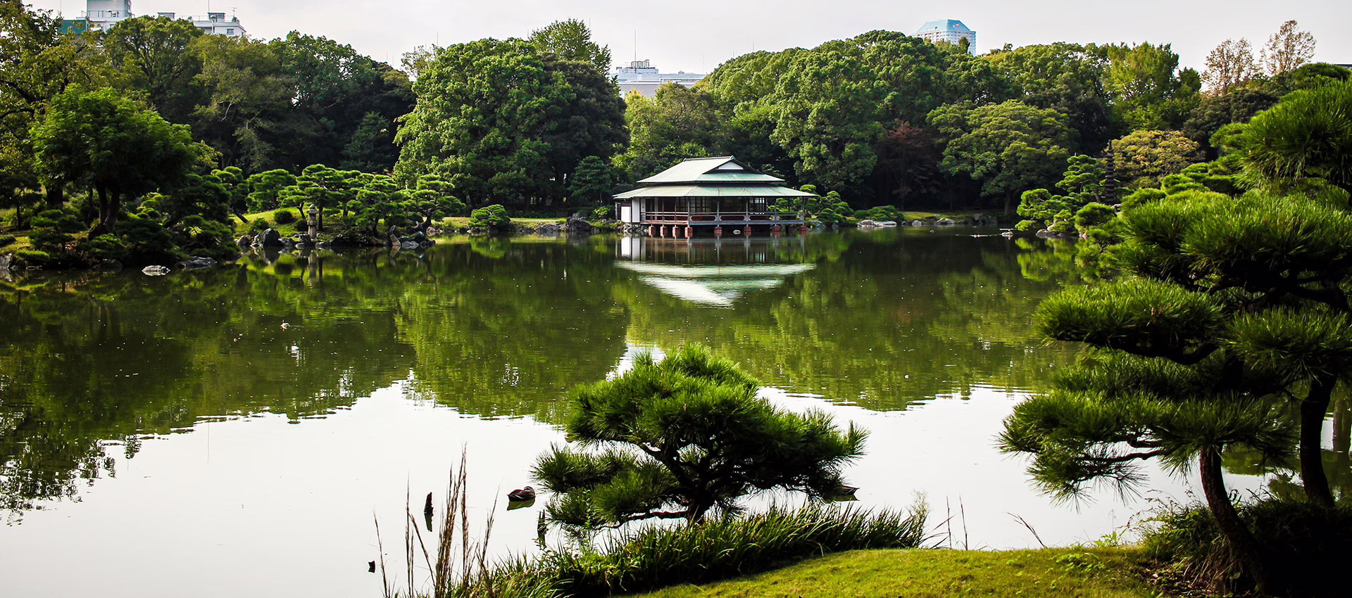 Serene Japanese garden with a tranquil pond reflecting lush greenery and a traditional wooden pavilion in the background.