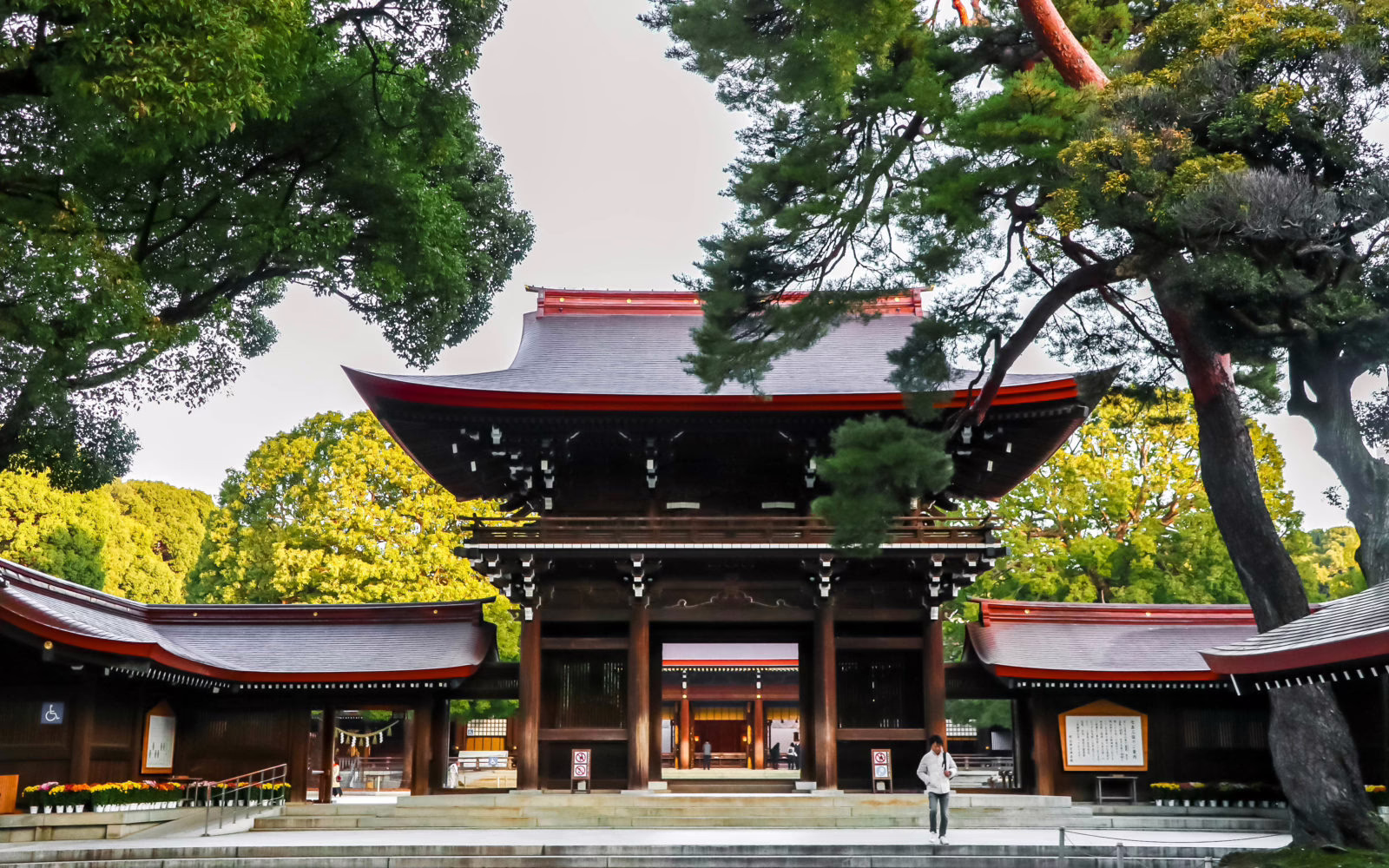 Historic Japanese shrine entrance surrounded by lush greenery, depicting cultural heritage and tranquility in nature.