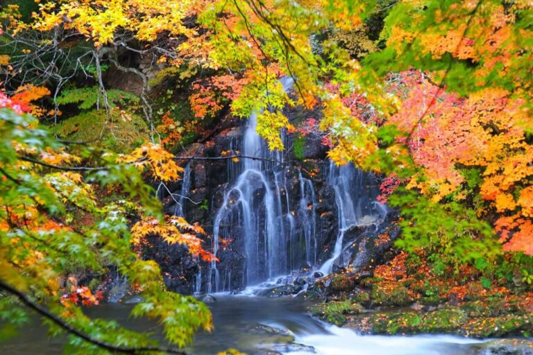Serene Momiji Waterfall cascading through vibrant autumn foliage, creating a tranquil natural oasis perfect for relaxation.