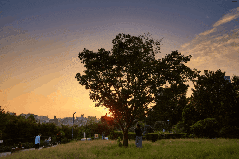 Sunset view over a park, with silhouettes of people gathered near a large tree amid lush greenery and city skyline.