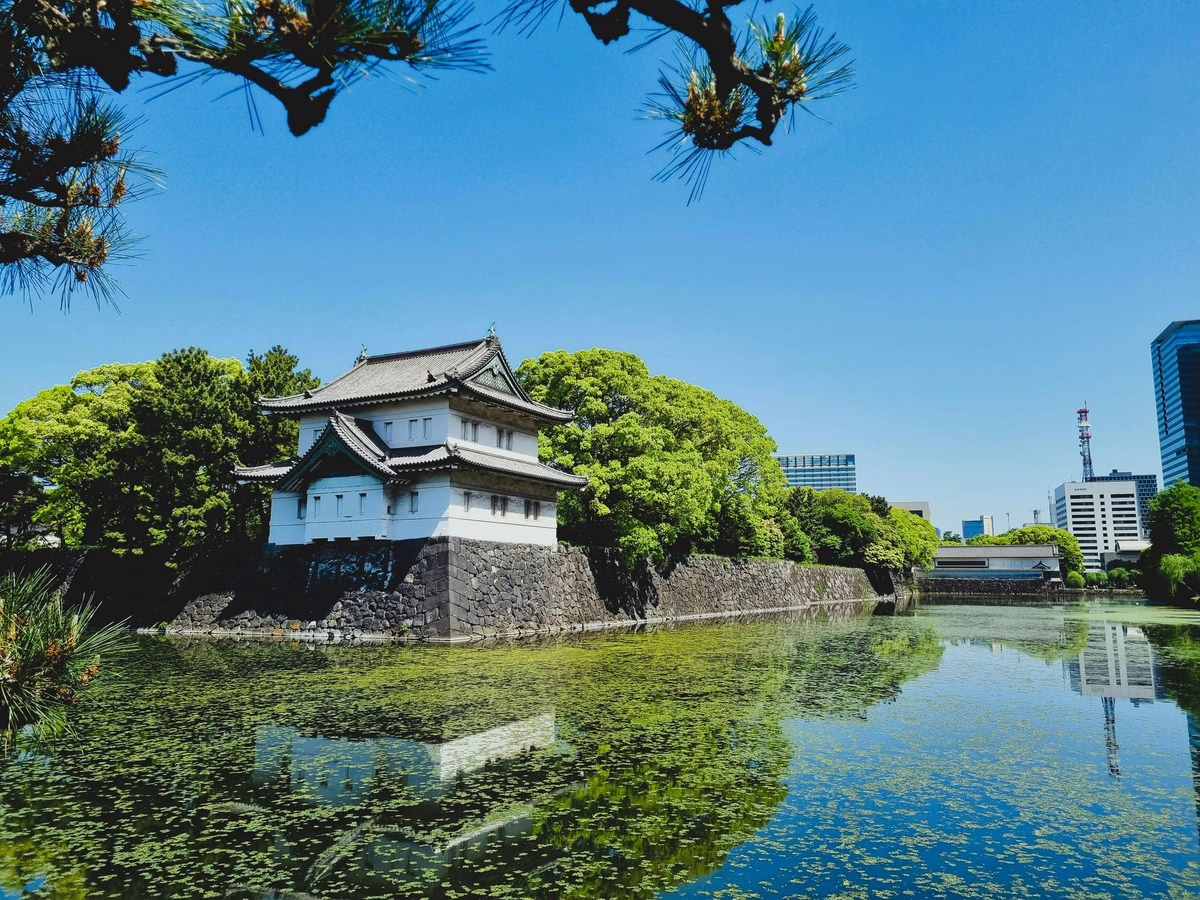 Historic Edo Castle in Tokyo surrounded by lush greenery and a serene moat reflecting the vibrant blue sky.