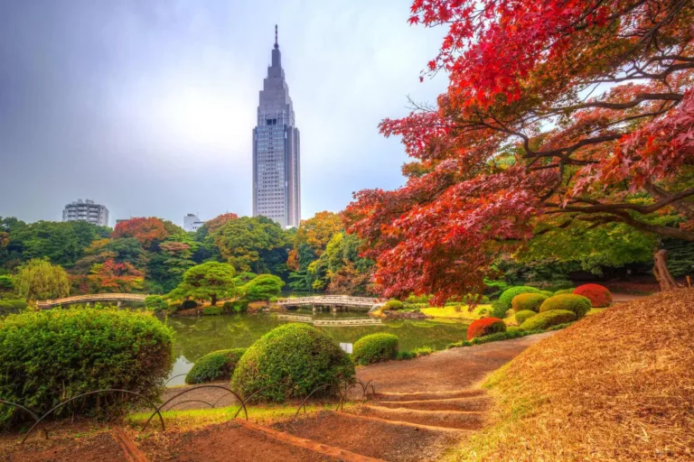 Autumn foliage surrounds a tranquil pond with a bridge, highlighting the contrast of nature and urban skyscrapers.