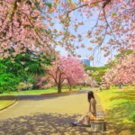 Shinjuku Gyoen National Garden