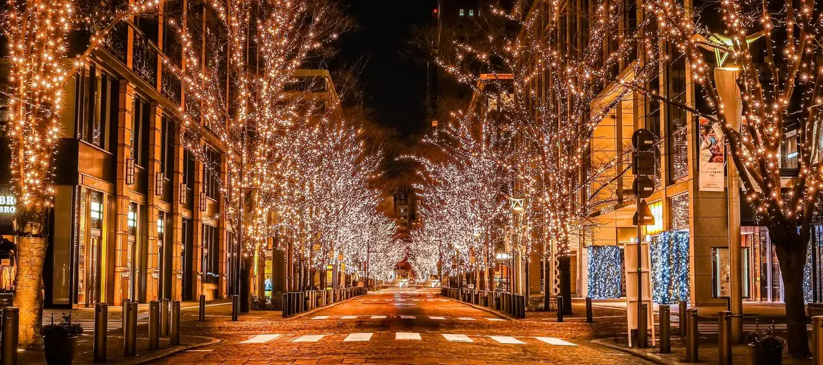 Charming street lined with illuminated trees creates a festive atmosphere in a vibrant urban setting during the holiday season.