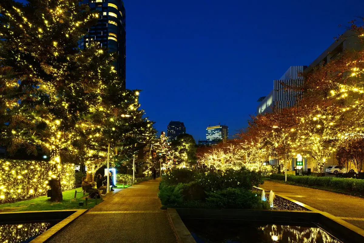 Illuminated park pathway adorned with sparkling lights and trees, creating a serene nighttime atmosphere in the city.