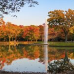 Yoyogi Park