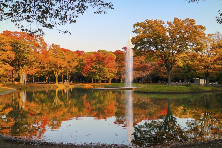 Tranquil park scene featuring vibrant autumn foliage reflecting in a serene pond with a fountain, inviting relaxation and exploration.