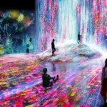 teamLab Borderless: MORI Building DIGITAL ART MUSEUM