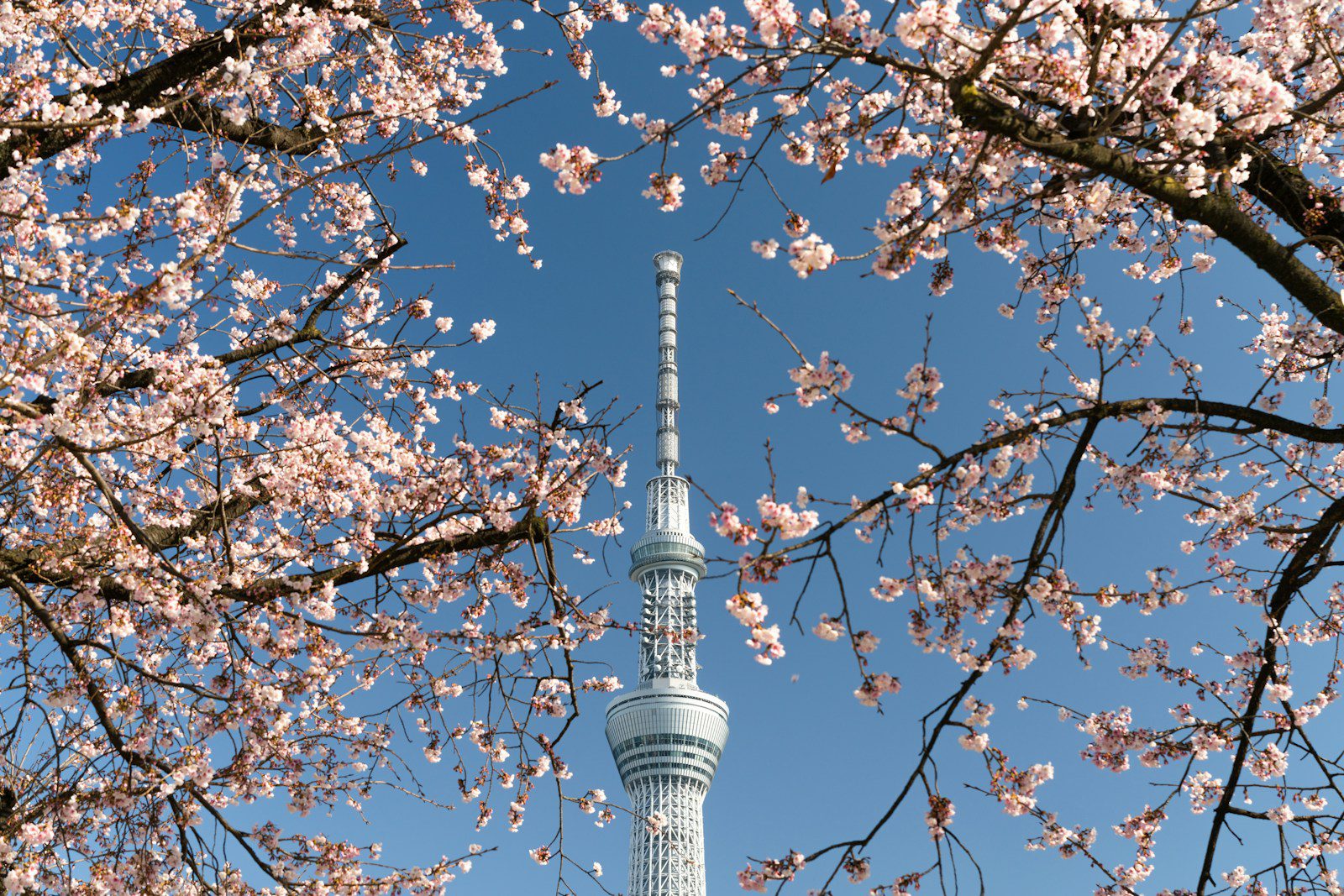 Tokyo Skytree