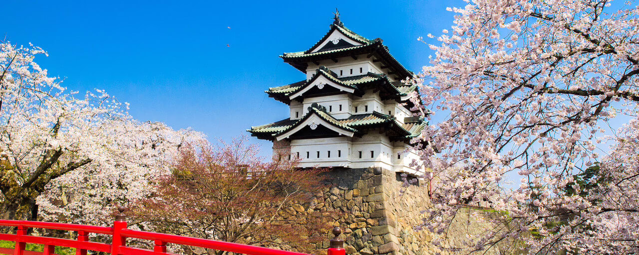 Cherry blossom trees frame a traditional Japanese Hirosaki Castle under a bright blue sky, capturing spring's beauty and cultural heritage.