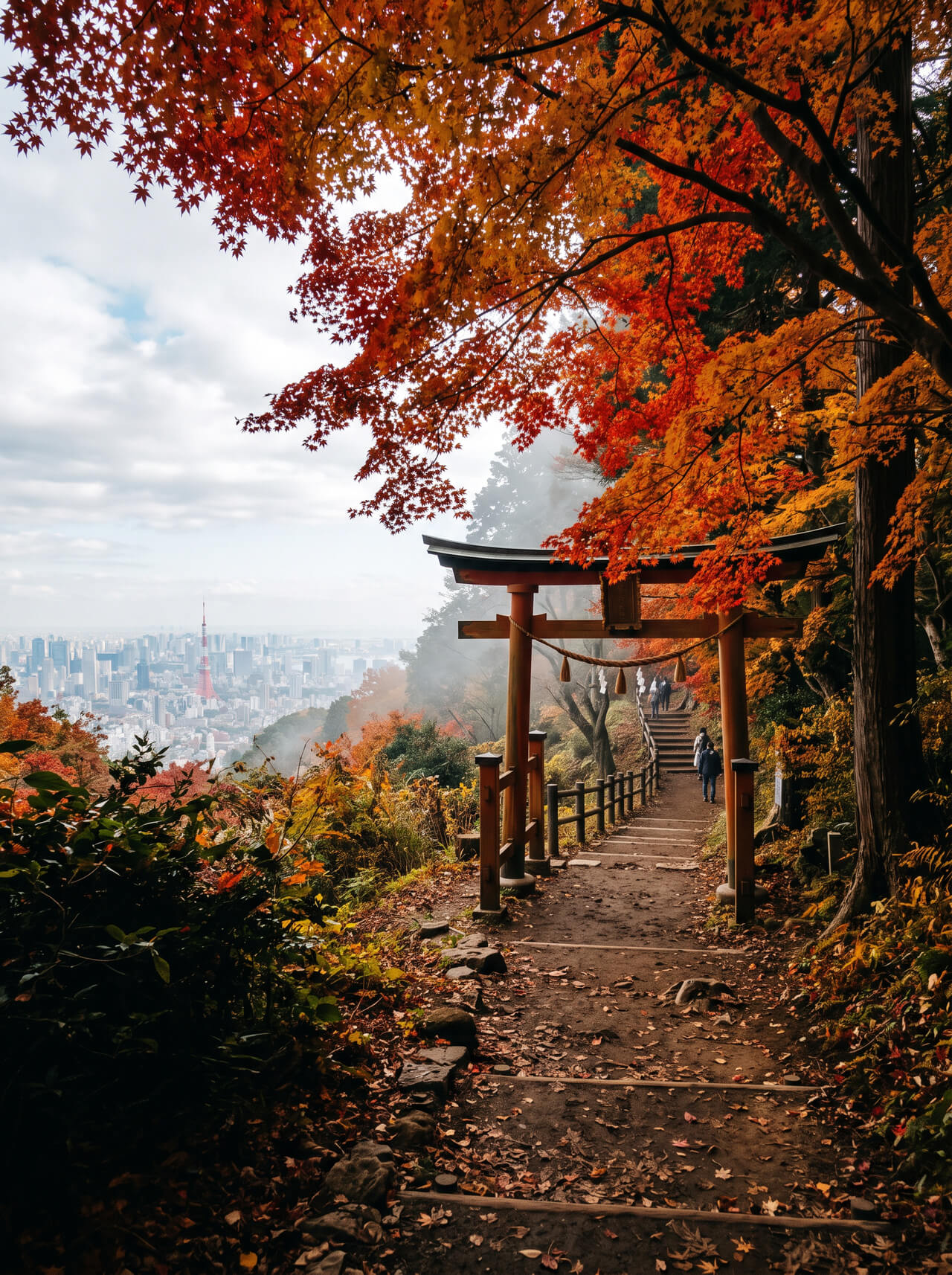 Outskirts district, Tokyo